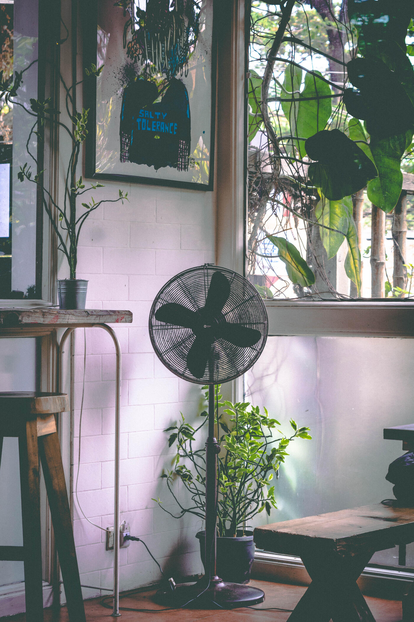 Verano, ventilador, refrescar el hogar, productos de verano, ferretería, clima cálido, ventilación, enfriamiento, confort en verano, soluciones de ventilación, aire fresco.